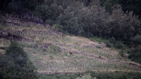 Lugar de la parroquia de Riob� donde fue encontrado el cuerpo de Julio