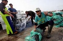 Los preparativos de la campa�a fueron intensos durante la jornada del viernes en O Grove.