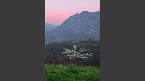 Fotograf�a cedida hoy por la Fundaci�n Mar�a Cristina Masaveu Peterson (FMCMP) a trav�s del Centro Cultural Espa�ol en Miami (CCEMiami) que muestra una instant�nea de Ouka Leele, titulada  N�vea floraci�n. Pe�anes de Morc�n , que se presentar� en la exposici�n  Miradas de Asturias .