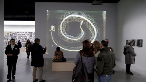 Abre al p�blico la exposici�n de Annie Leibovitz en A Coru�a