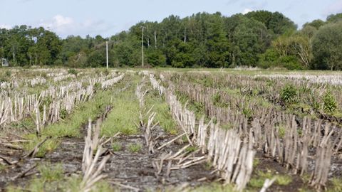 Terrenos agr�colas en una foto de archivo