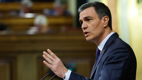 Pedro S�nchez, en el Congreso