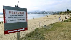 La�ostra rizada se expande por las r�as de A Mari�a