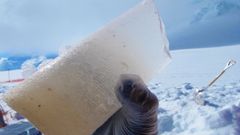 Testigo de hielo de la Ant�rtida
