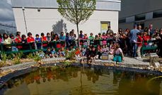 Los alumnos del colegio A Rabadeira (a Oleiros, A Coru�a) construyen una charca en su centro