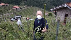 Un vi�edo de la parroquia de San Fiz que result� da�ado en una tormenta de granizo el pasado junio