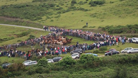 La rapa de Campo do Oso congreg a mucho pblico