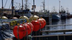 Boyas caractersticas del palangre de fondo de Burela (en la foto) y Celeiro, un arte de los ms selectivos y con menor impacto sobre el fondo marino que perder caladeros tradicionales porque la Comisin los cerrar en Gran Sol