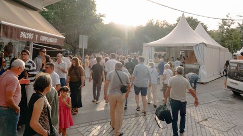 El p�blico comenz� a pasear por el recinto de la Feira do Vi�o de Monterrei en la Alameda de Ver�n.