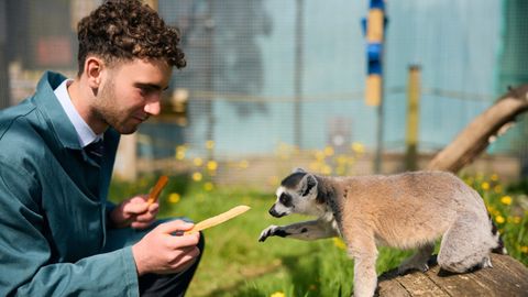 Programa en ingl�s de zoolog�a incluido en el curso en el extranejro