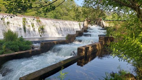 Aspecto del L�rez en la presa de Bora, Pontevedra, el pasado abril