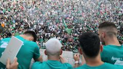 Marea verde en Armas.