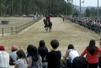 Una prueba de Equiouro, de 2012, en la pista de andadura.