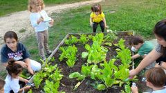 El huerto del centro cuenta con un rea de produccin agrcola y otra de plantas aromticas