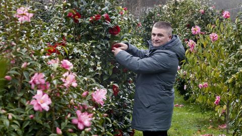 Abelardo Barcala en la gran parcela que ha llenado de camelios.