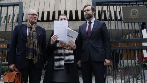 El portavoz de Vox en el Congreso, Iv�n Espinosa de los Monteros (primero por la derecha), la secretaria general Macarena Olana y el diputado Juanjo Aizcorbe, durante la presentaci�n del recurso en el Tribunal Constitucional