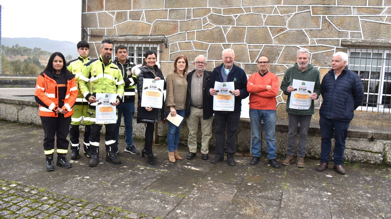 Mos lanzará una APP para detectar y seguir en tiempo real los nidos de avispa velutina