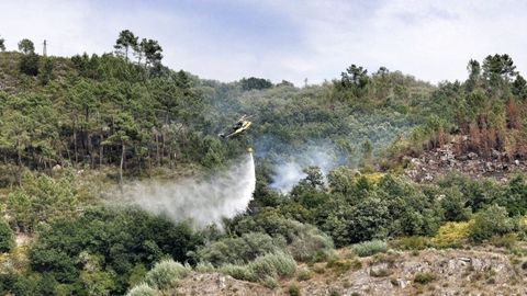 Incendios forestales al inicio de la semana.Fuego declarado en los montes del t�rmino municipal de Amoeiro