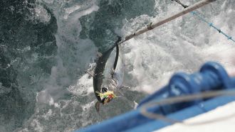 Un bonito del norte en el momento de ser izado al barco por un pesquero español, en una foto de archivo