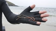 Recursos espec�ficos de la r�a de Pontevedra