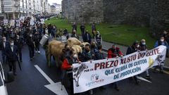 Ganaderos convocados por Agromuralla pidieron ayer precios justos para su materia prima en Lugo