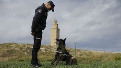 Emilio, polic�a nacional y gu�a canino, con Mika, una perra rastreadora