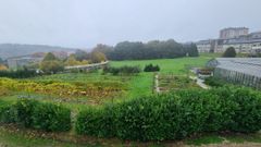 Vista del campus de Lugo, con zonas de trabajo de la Escola Polit�cnica Superior y con invernaderos en primer plano y con el auditorio al aire libre al fondo.