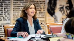 La directora de comunicaci�n de la Organizaci�n de Consumidores y Usuarios (OCU), Ileana Izverniceanu, durante la comparecencia ante la Comisi�n de Investigaci�n sobre el apag�n del Senado