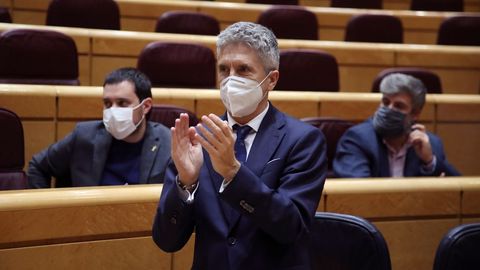 El ministro del Interior, Fernando Grande-Marlaska, este mércoles en el Senado