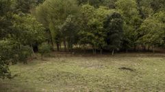 Terrenos de la aldea modelo de Trelle, en To�n