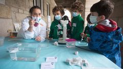 Talleres cient�ficos en la Praza Maior