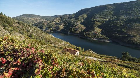 Otro aspecto de las orillas del Sil en la parroquia de Doade, en el municipio de Sober