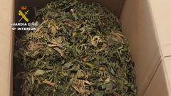 Parte de la marihuana decomisada