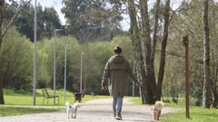 La senda peatonal ya transcurre ahora entre Freixeiro y Xuvia, y se ampliara desde A Gndara (lmite con Ferrol) hasta Pedroso (lmite hasta San Sadurnio)