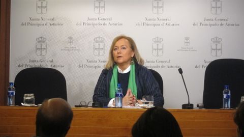 Mercedes Fern�ndez en rueda de prensa.Mercedes Fern�ndez en rueda de prensa