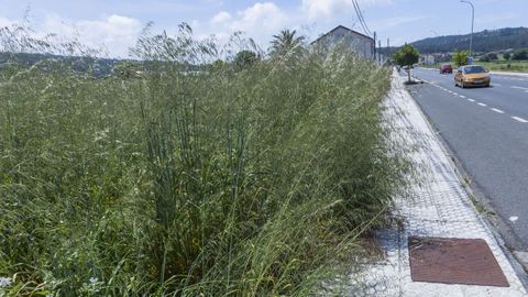 Finca sin limpiar en  una zona urbana, en imagen de archivo