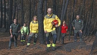 El agente ambiental de la UDEX Jos Luis Fernndez Castao, el conductor de motobomba Secundino Trincado, la bombera forestal Loli Fernndez, el jefe de brigada helitransportada Javier Morillo, la jefa de distrito Yolanda Boo y el agente ambiental Luis Iglesias, este mircoles en Larouco.