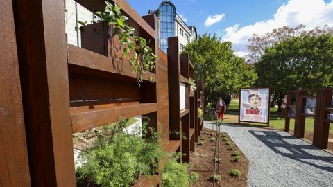 Xard�n de Rosal�a, en imaxe de arquivo