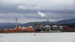 Complejo industrial de Alcoa San Cibrao, visto desde Mor�s