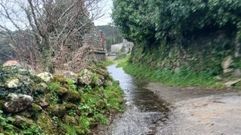 Estado actual del camino forestal