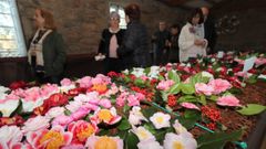 Imagen de una de las �ltimas ediciones de la exposici�n de camelias de Boiro