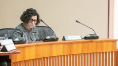 La secretaria xeral de la Consellera de Poltica Social e Igualdade, Mara Francisca Gmez, en el Parlamento este jueves.