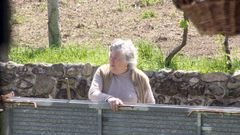Lola, a avoa do cineasta