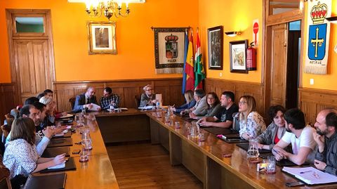 Pleno en el Ayuntamiento de Aller