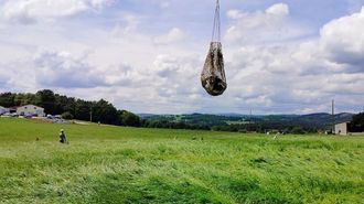 Rescatadas en helic�ptero las vacas que cayeron a un barranco en Taboada