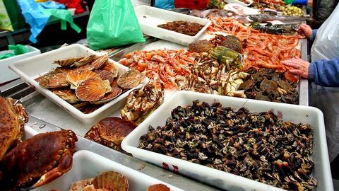 Ir al mercado a compar marisco puede ser cosa del pasado gracias a una p�gina web que ofrece sus productos del mar a trav�s del tel�fono m�vil