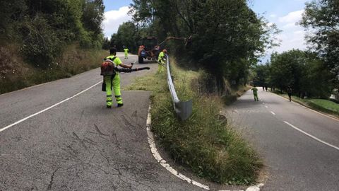 Trabajadores del Ayuntamiento de Oviedo desbrozando