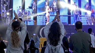 Imagen de archivo de una verbena.