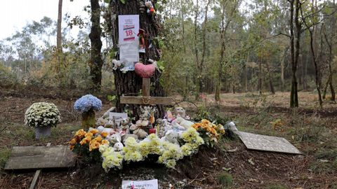 El lugar donde apareci el cuerpo de Asunta, limpio y con nuevos carteles, hace tres dias