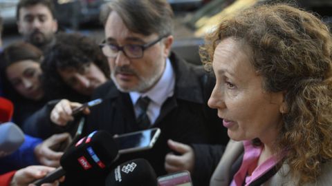 La abogada del padre de los menores de  la casa de los horrores de Oviedo , Elena Gonz�lez Mart�nez atiende a los medios a la llegada a la Audiencia Provincial de Oviedo